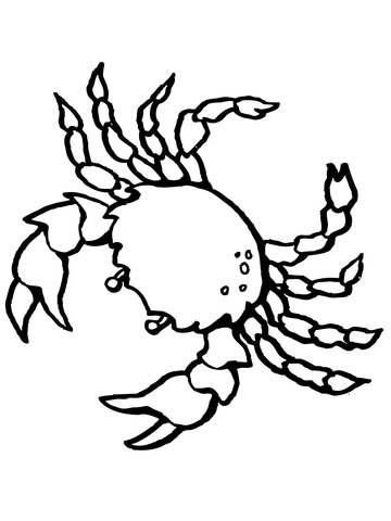 Crab Decapod Crustacean Coloring Page